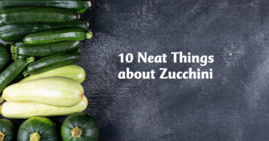 10 Neat things about Zucchini