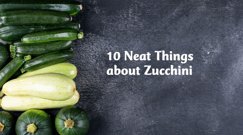 10 Neat things about Zucchini