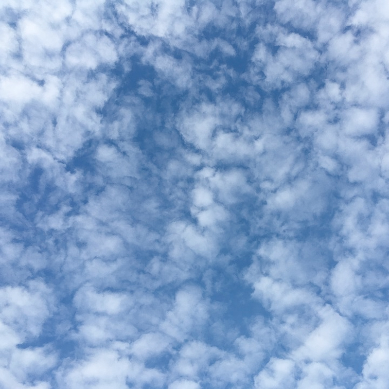 alto clouds