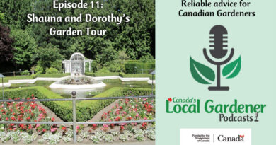 Shauna and Dorothy's Garden Tour