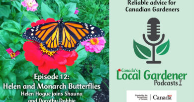 Helen and Monarch Butterflies