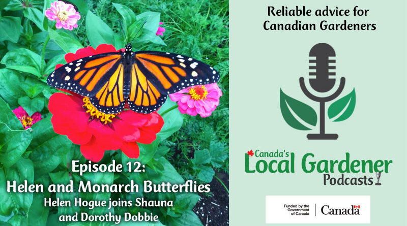 Helen and Monarch Butterflies