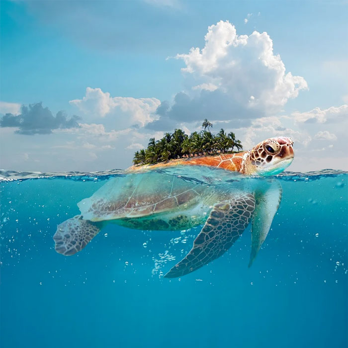 turtle island