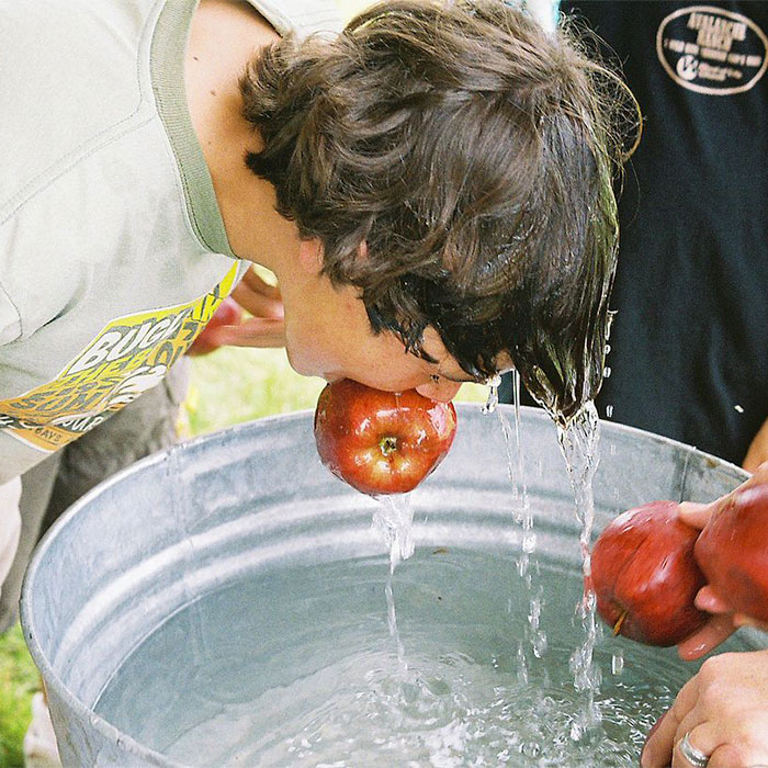 bobbing for apples