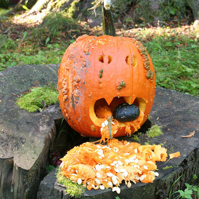 halloween pumpkin