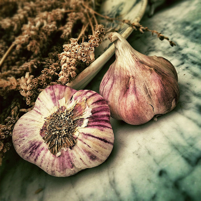 garlic to fight vampires