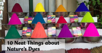 10 neat things about nature's dyes