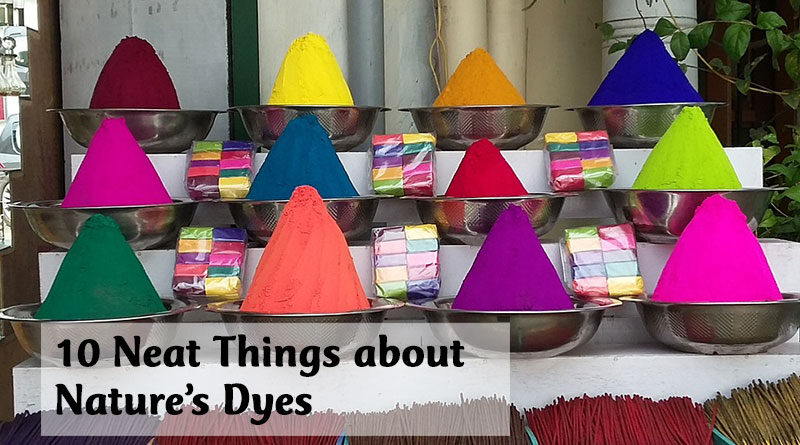 10 neat things about nature's dyes