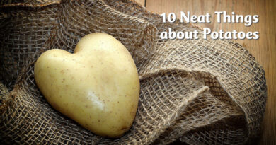 10 neat things about potatoes