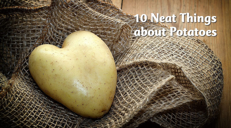 10 neat things about potatoes
