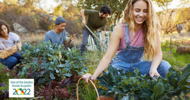 2022 is Canada's Year of the Garden