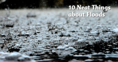 10 neat things about floods