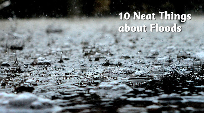 10 neat things about floods