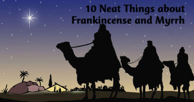 10 neat things about frankincense and myrrh