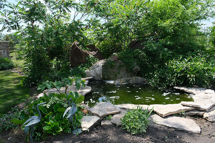 The pond and waterfall add to the coolness of this shady place.