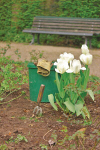 Healthy garden soil needs a regular rejuvenation with organic fertilizers and or composts.