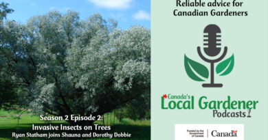 CLG Podcast S2Ep2 Invasive Insects on Trees