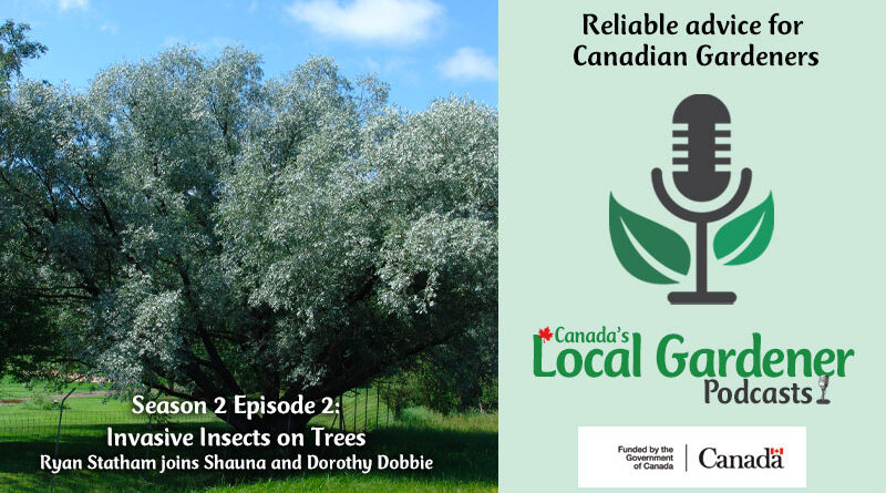 CLG Podcast S2Ep2 Invasive Insects on Trees