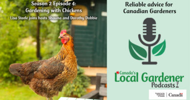 Season 2 Episode 4 Gardening with Chickens