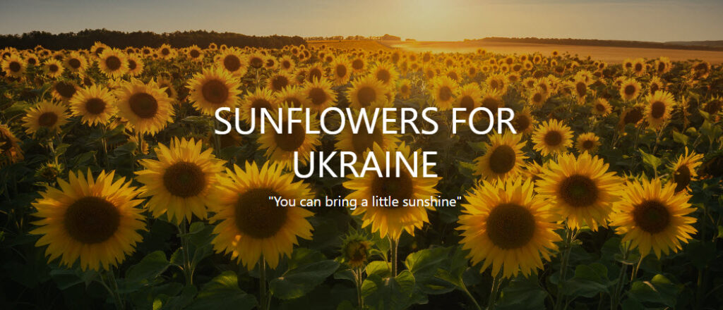 Sunflowers for Ukraine
