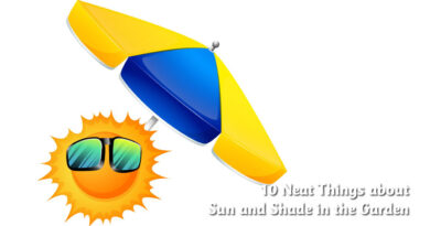 10 neat things about sun and shade in the garden