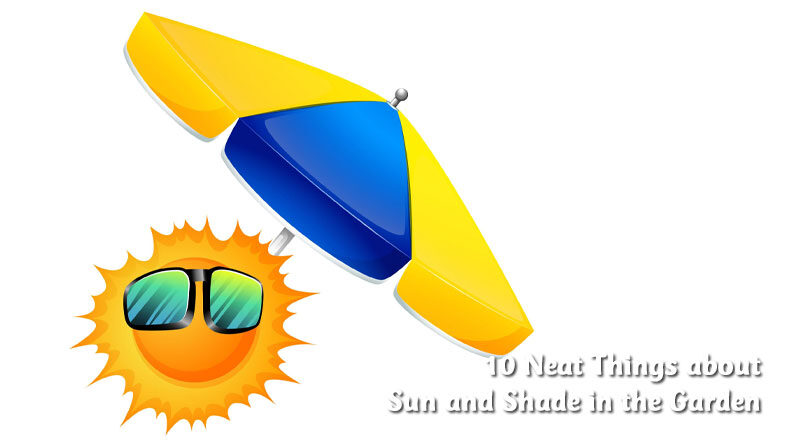 10 neat things about sun and shade in the garden