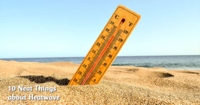 10 neat things about heatwaves