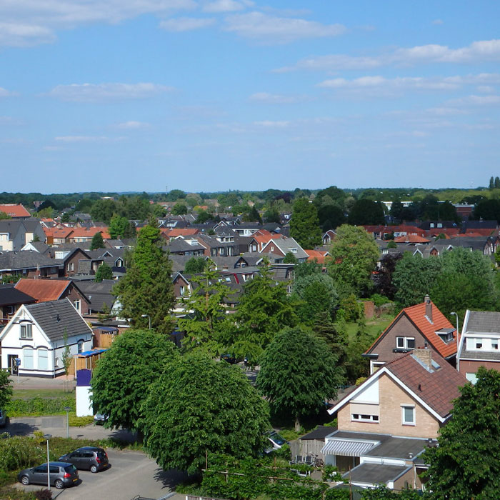 city trees housing