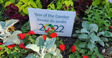 living the garden life