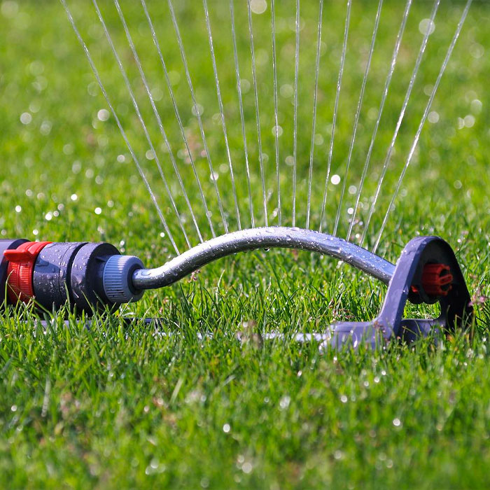 when to water the lawn