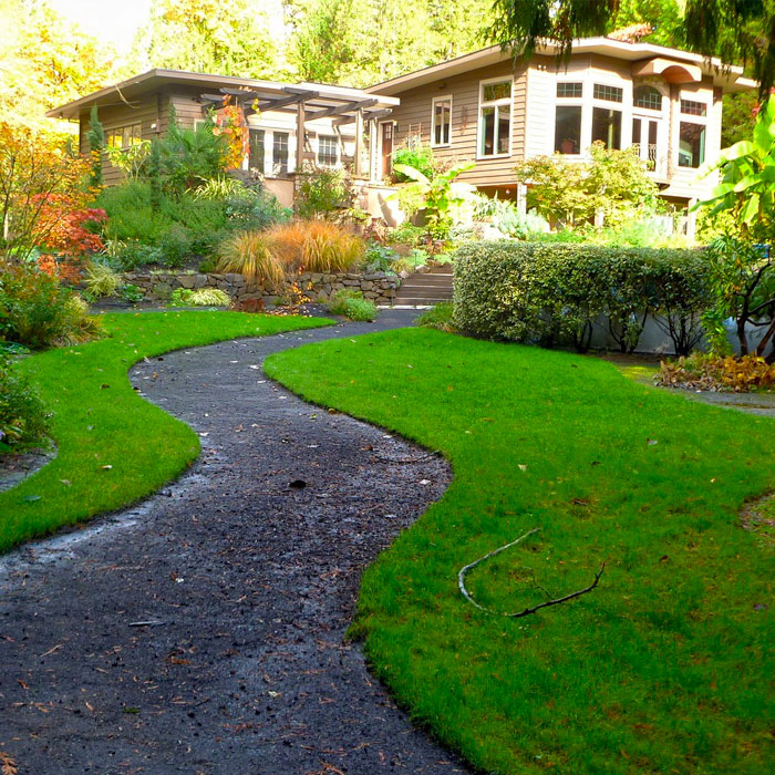 beautiful lawn