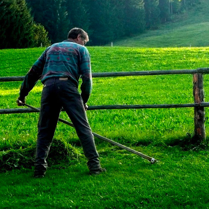 using a scythe for the lawn