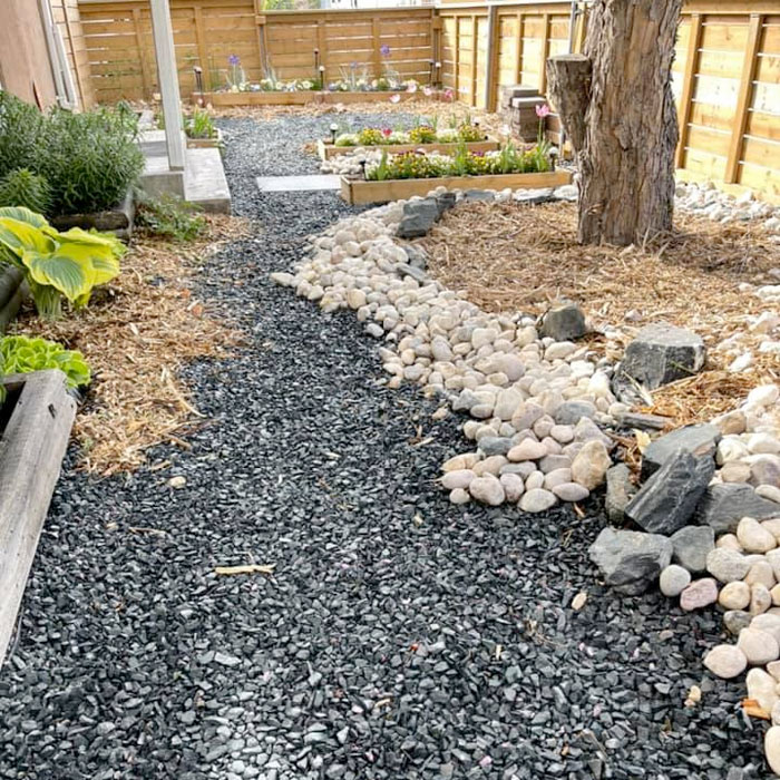 lawnless yard