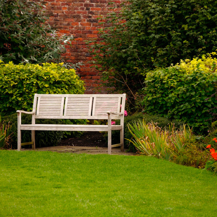 lawns purify air