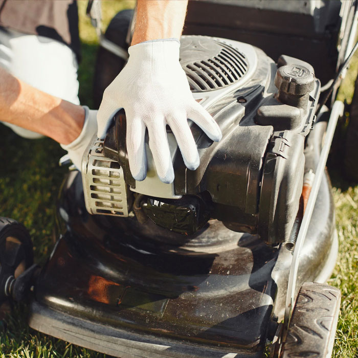 gas lawn mower