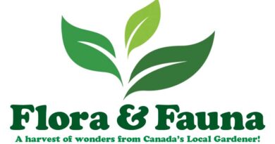Flora and fauna