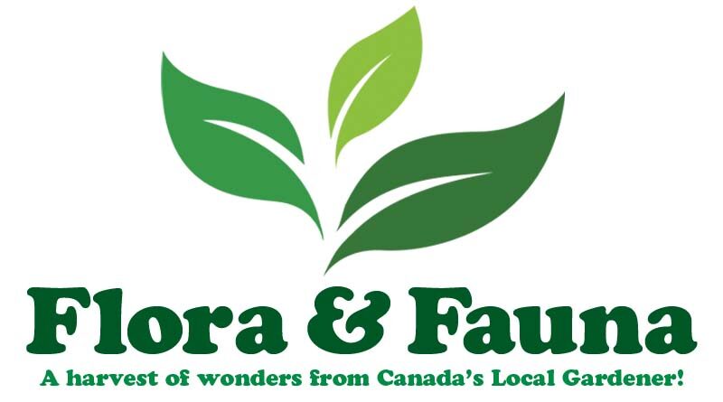 Flora and fauna