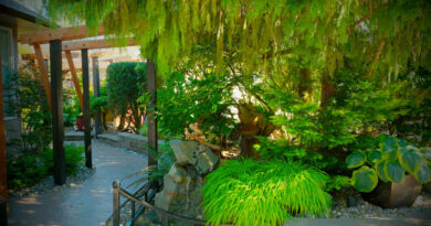 Garden of Ken Popove