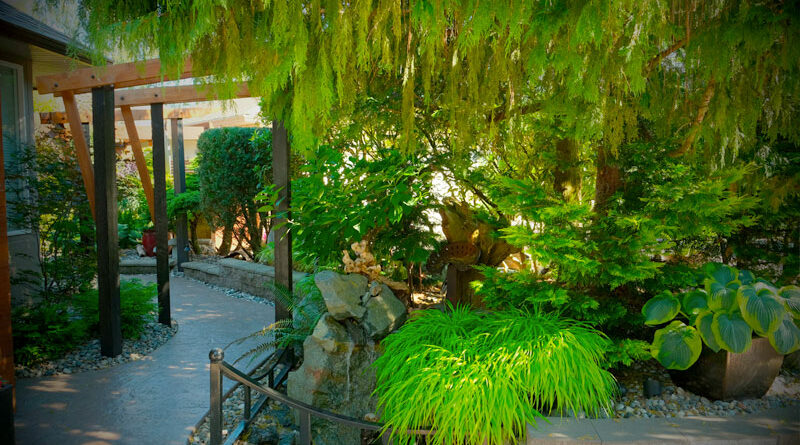 Garden of Ken Popove
