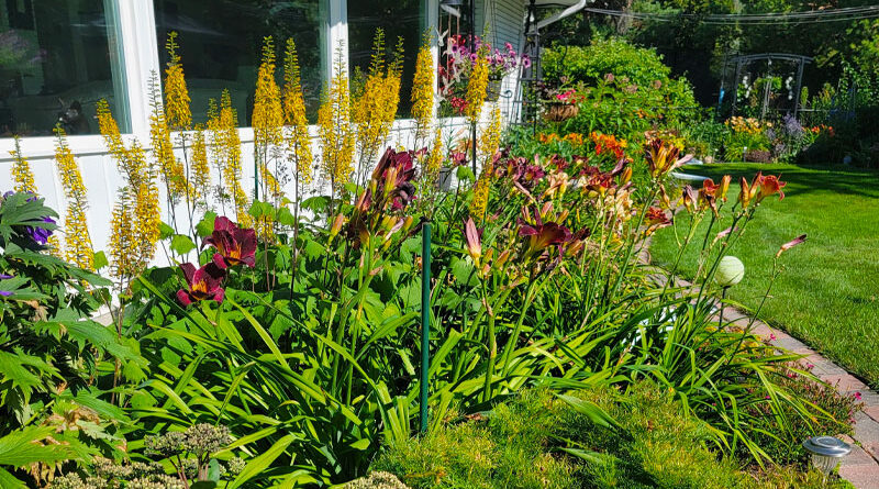 Garden of Robert wrigley and arlene dahl