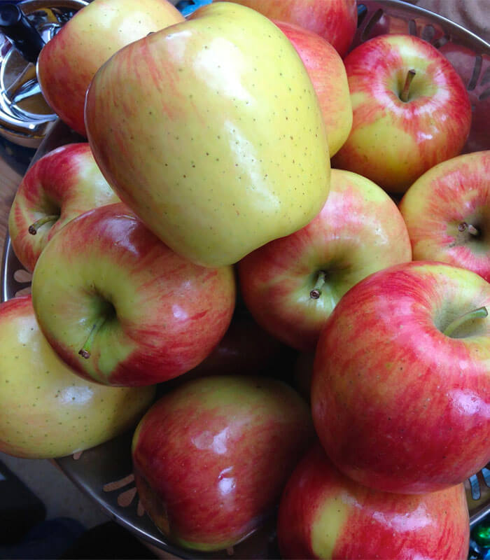 ambrosia apple