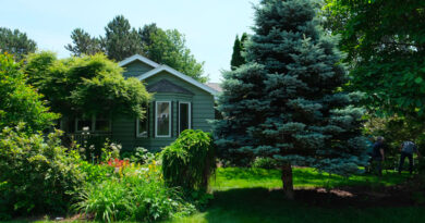 Garden of Kenneth MacDonald