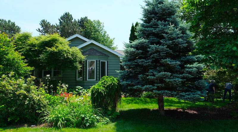 Garden of Kenneth MacDonald