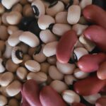 Canadian Seed Catalogues 2024