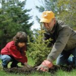 15 easy eco-gardening techniques to incorporate into your yard(2)