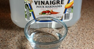 white vinegar with small bowl