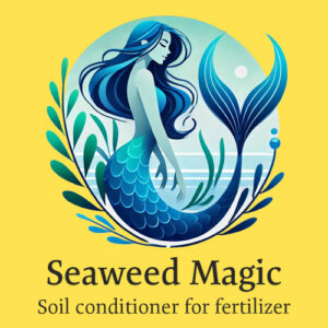 Seaweed Magic