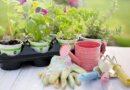 Get digging! 10 neat things about planting tools