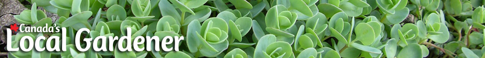 Canada's Local Gardener magazine