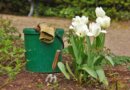 Weeding: Pull less, grow more